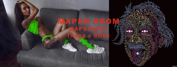прущие грибы Балахна