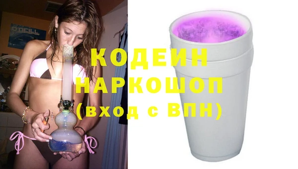 прущие грибы Балахна