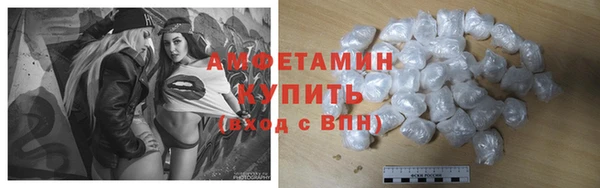 прущие грибы Балахна