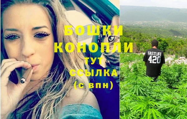 прущие грибы Балахна