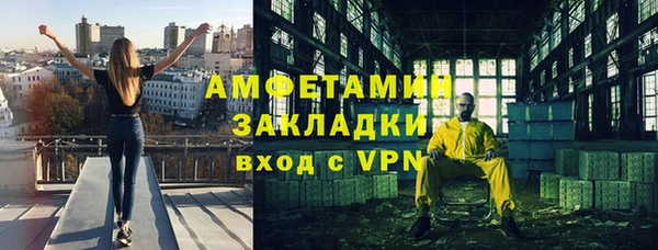 прущие грибы Балахна