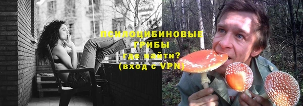 прущие грибы Балахна