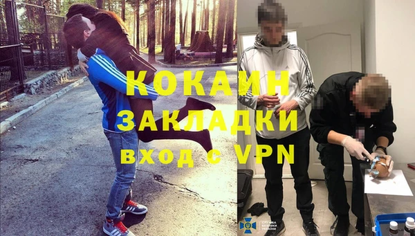 прущие грибы Балахна